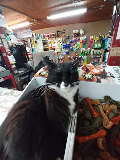 Pet Supply Store «Park Feed Store & Pet Supply», reviews and photos, 5775 Park Blvd N, Pinellas Park, FL 33781, USA