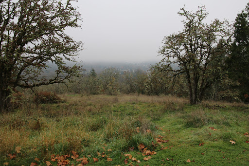 Park «Willamette Heights Park», reviews and photos, 508 Valley View, Springfield, OR 97477, USA