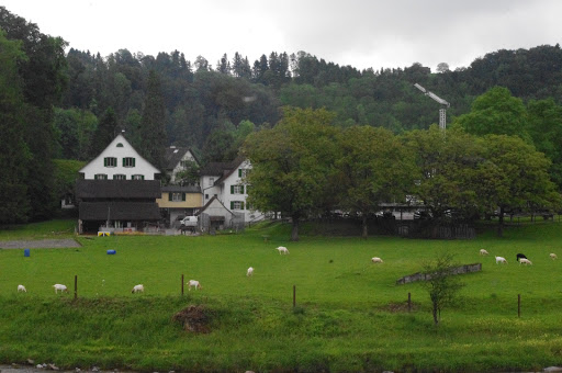 Travel Agency «Travel Leaders Indy», reviews and photos, 9745 Fall Creek Rd, Indianapolis, IN 46256, USA