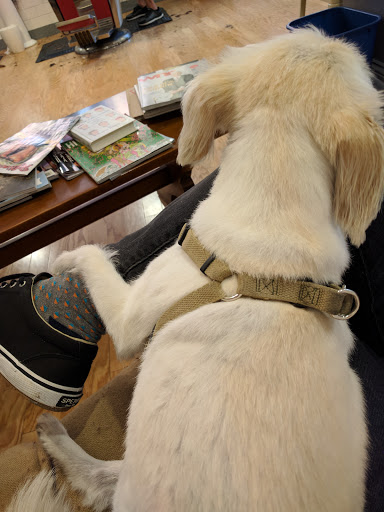 Barber Shop «The Local Barber & Tap», reviews and photos, 84 W Walnut St, Asheville, NC 28801, USA