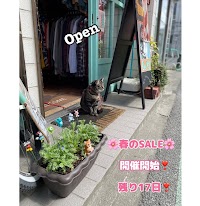 ウップスセカンド