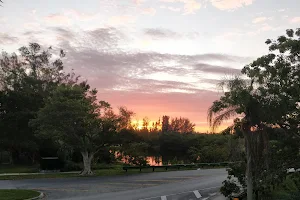 Crocodile Lake image