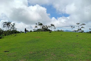 Puncak Grass Hill image