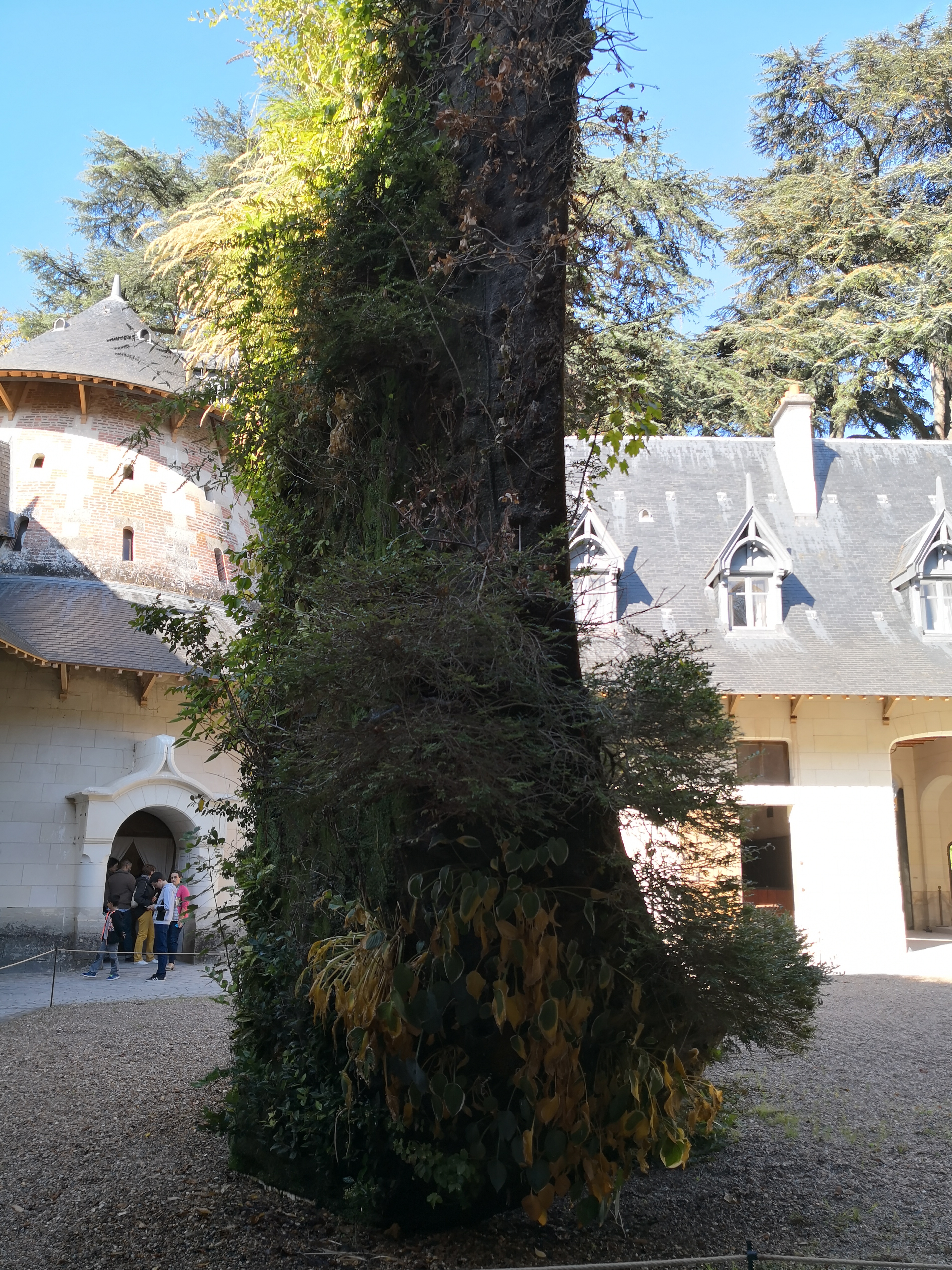 Photo n° 40 de l'avis de CHRISTOPHE.A fait le 24/10/2018 à 20:20