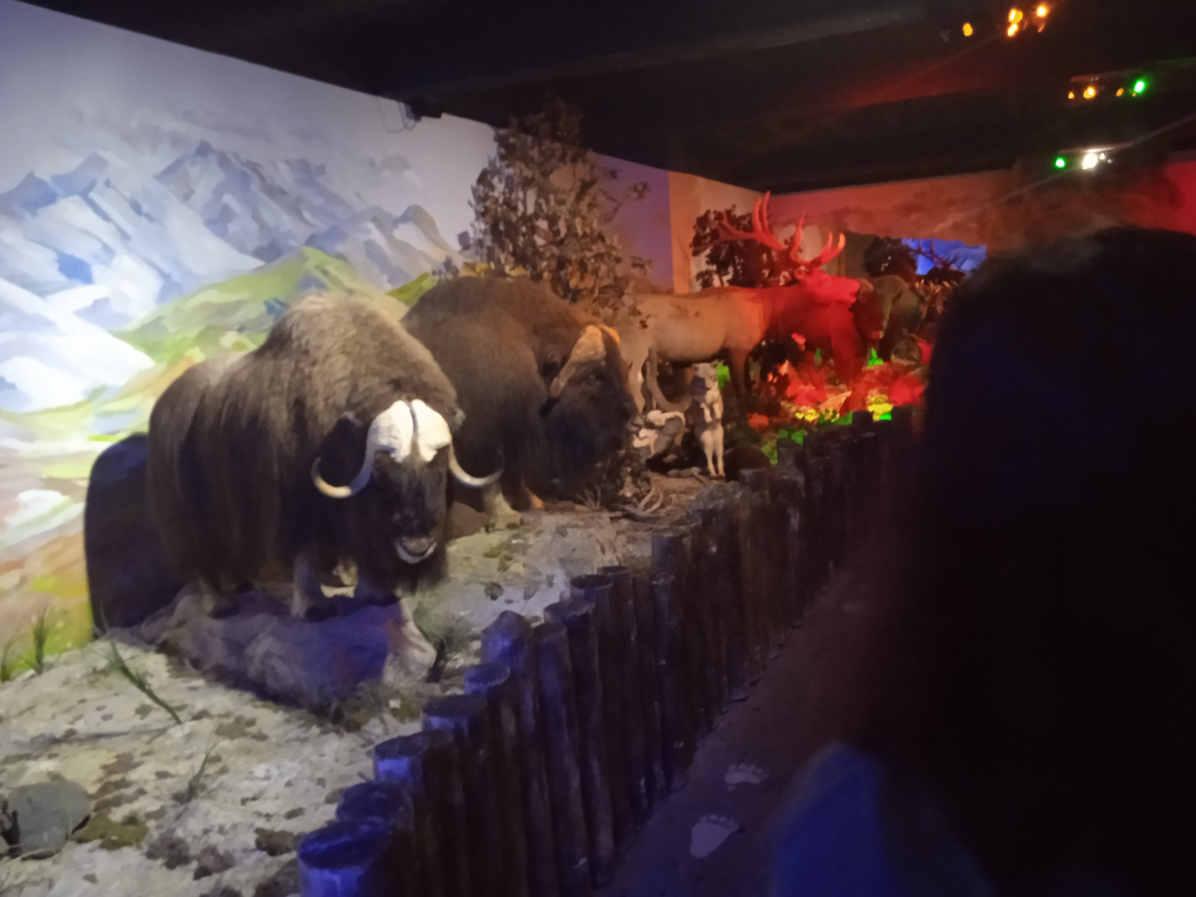 Photo n° 24 de l'avis de Gamer.p fait le 04/06/2022 à 18:21