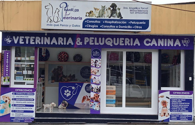 Opiniones de Veterinaria y Peluquería Canina "Peluditos" en Santo Domingo de los Colorados - Veterinario