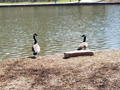 Museum «Discovery Place Nature», reviews and photos, 1658 Sterling Rd, Charlotte, NC 28209, USA