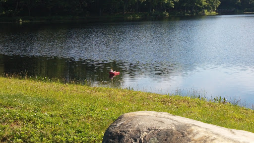 Park «Bethany Veterans Memorial Park», reviews and photos, 265 Beacon Rd, Bethany, CT 06524, USA