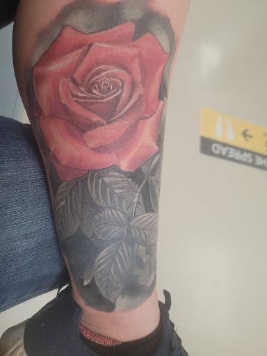 Explore falcon tattoo ideas, creative tattoo ideas in Hilo, available at Nerdy Neely Studio