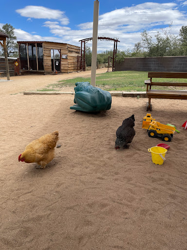 Zoo «Heritage Park Zoological Sanctuary», reviews and photos, 1403 Heritage Park Rd, Prescott, AZ 86301, USA