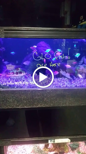 Pet Store «Friendly Pets», reviews and photos, 625 Friendly Center Rd, Greensboro, NC 27408, USA