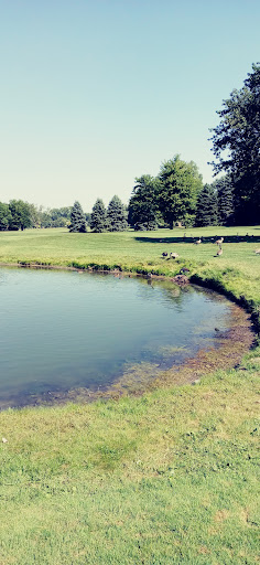 Golf Club «Bedford Hills Golf Club», reviews and photos, 6400 Jackman Rd, Temperance, MI 48182, USA