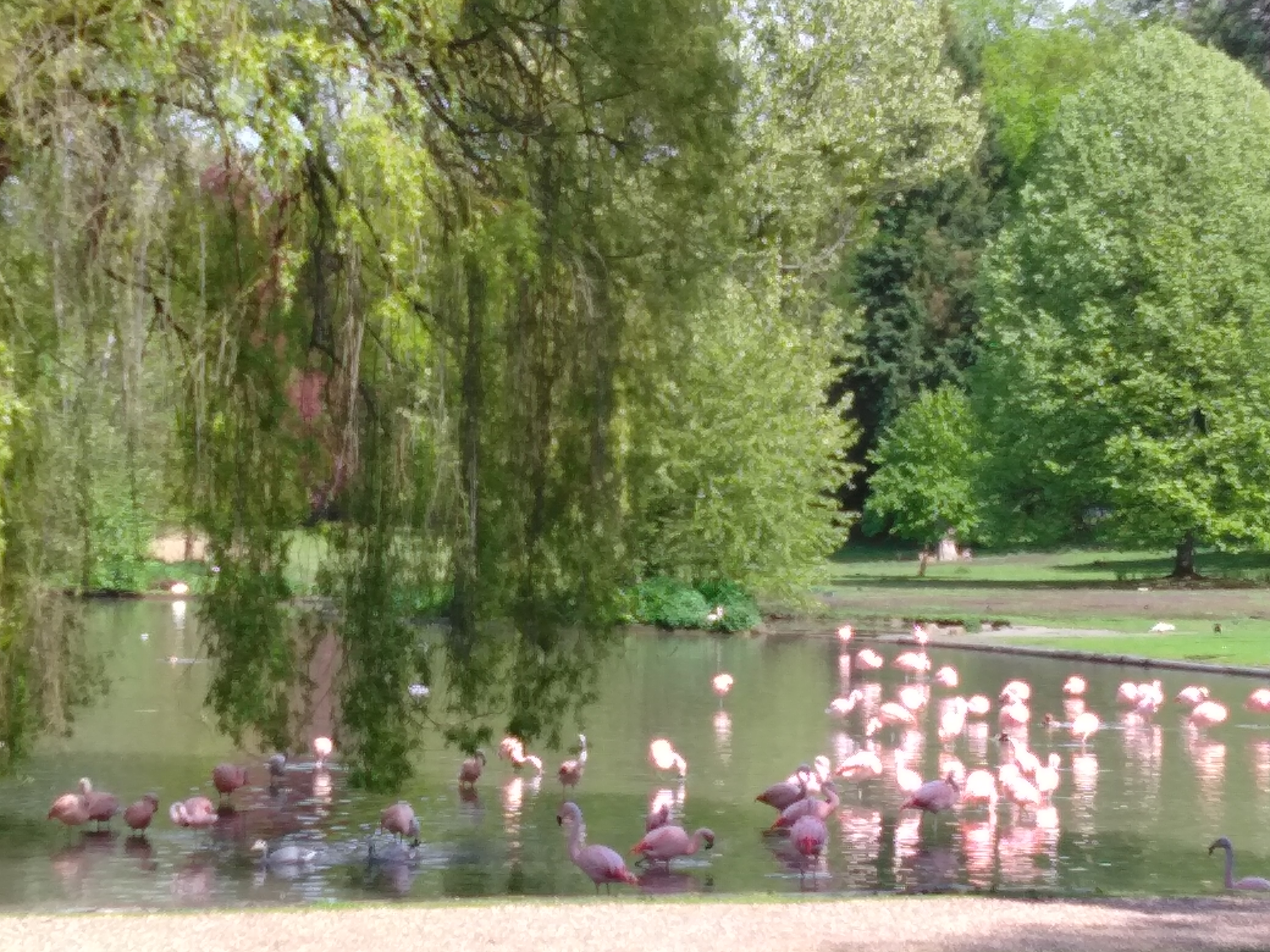 Photo n° 9 de l'avis de Francois.u fait le 08/05/2019 à 16:10