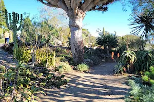 San Diego Botanic Garden image