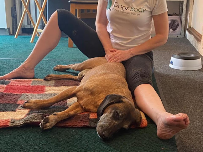 Comments and reviews of Dogs Body Canine Massage Therapy