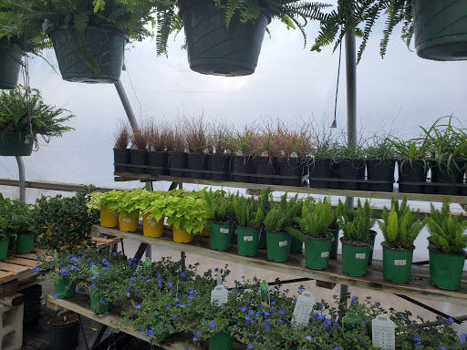 Garden Center «Beachside Gardens & Gifts», reviews and photos, 3725 US-12, Michigan City, IN 46360, USA