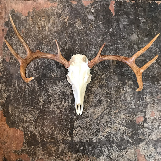 Boutique «Portobello Road», reviews and photos, 122 Welch Ave, Ames, IA 50014, USA