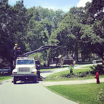 Andrews Tree Service - Arborist, Tree Trimming, Tree Removal &Tree Care in Leesburg FL - Photo 9 - Car repair in , Leesburg