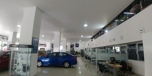 Galo Automotriz