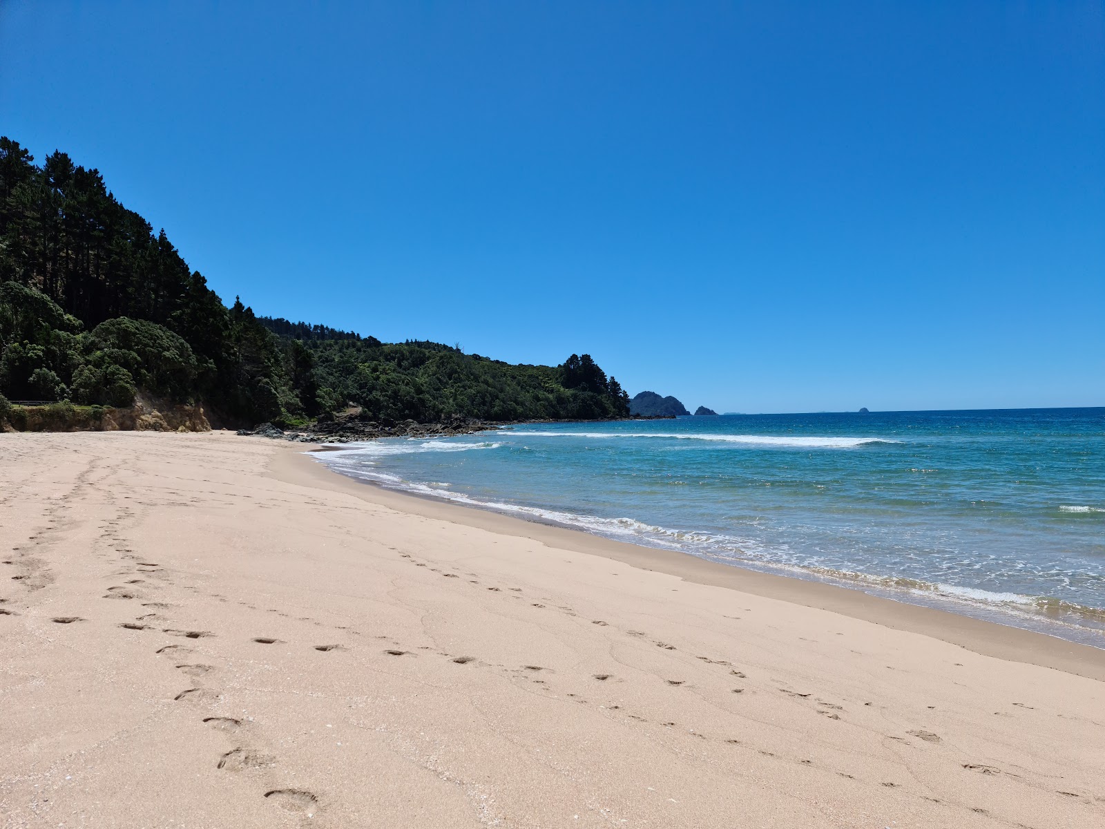 Tairua Beach'in fotoğrafı düz ve uzun ile birlikte