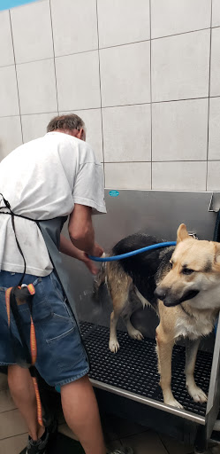 Pet Supply Store «Pet Supplies Plus», reviews and photos, 2250 N Rock Rd Ste. 110, Wichita, KS 67226, USA