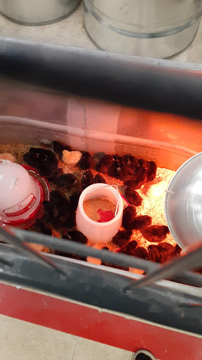 Home Improvement Store «Tractor Supply Co.», reviews and photos, 1149 E Main St, Ravenna, OH 44266, USA