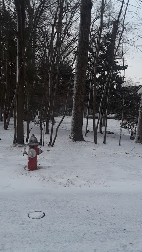 Golf Club «Cherry Valley Club», reviews and photos, Rockaway Ave, Garden City, NY 11530, USA