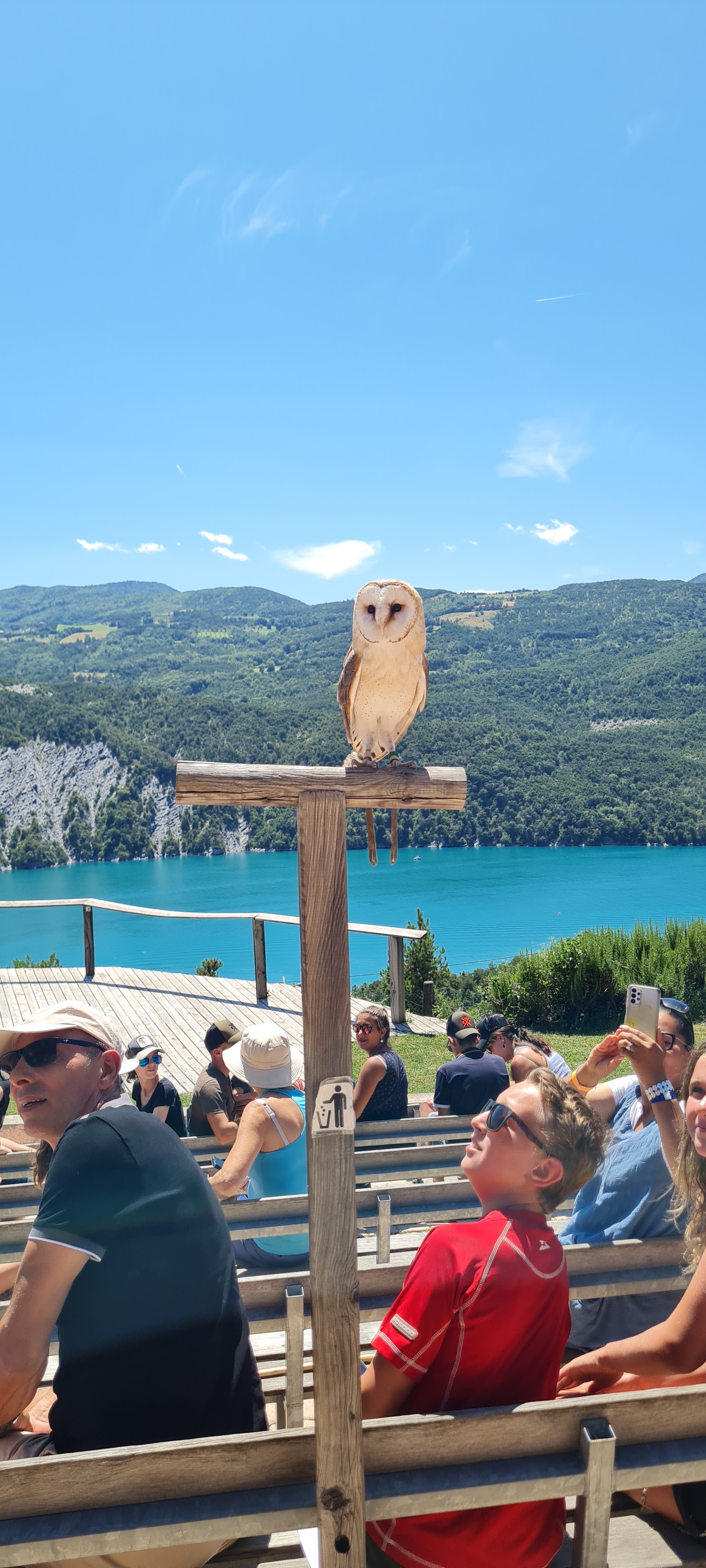 Photo n° 2 de l'avis de Corentin.o fait le 30/07/2023 à 13:52