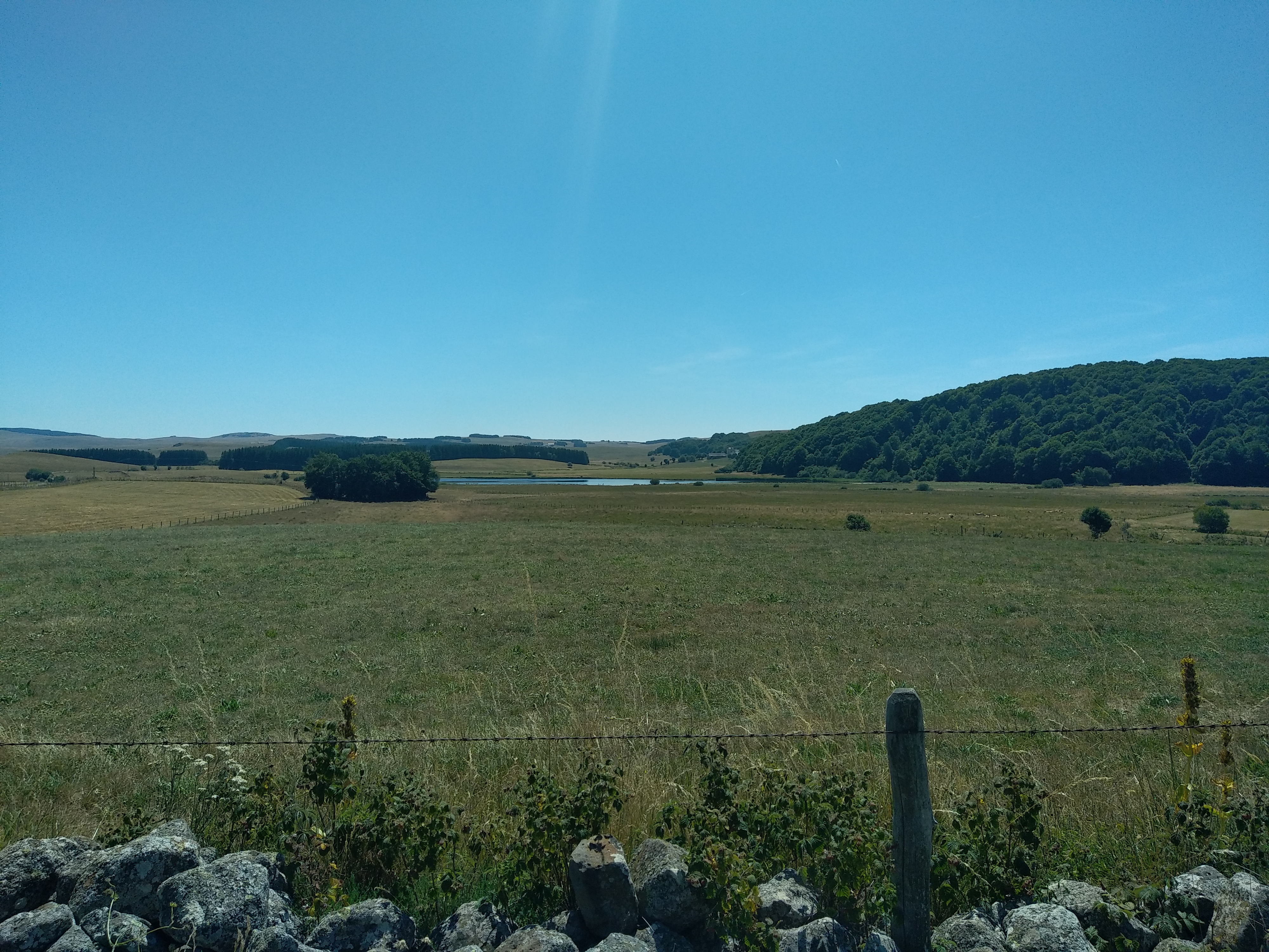 Photo n° 37 de l'avis de Julien.a fait le 14/07/2022 à 19:44