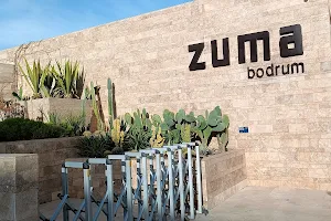 Zuma Bodrum image