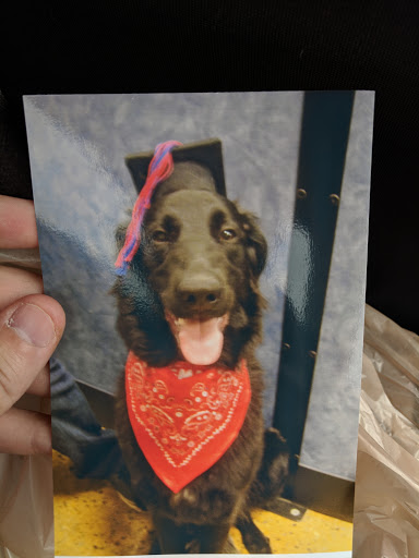 Pet Supply Store «PetSmart», reviews and photos, 3500 IN-38, Lafayette, IN 47905, USA