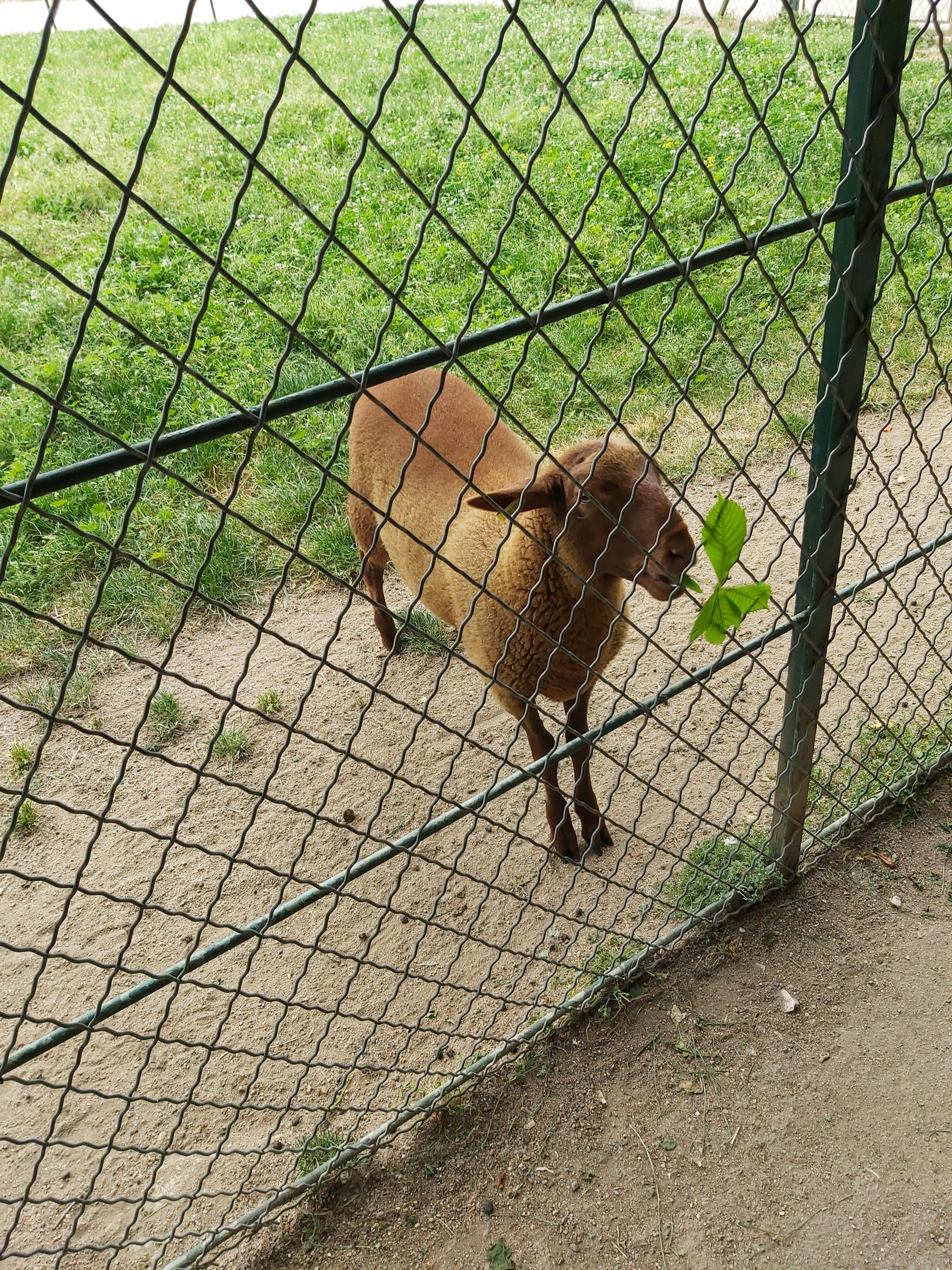 Photo n° 5 de l'avis de Christophe.l fait le 27/05/2022 à 08:37
