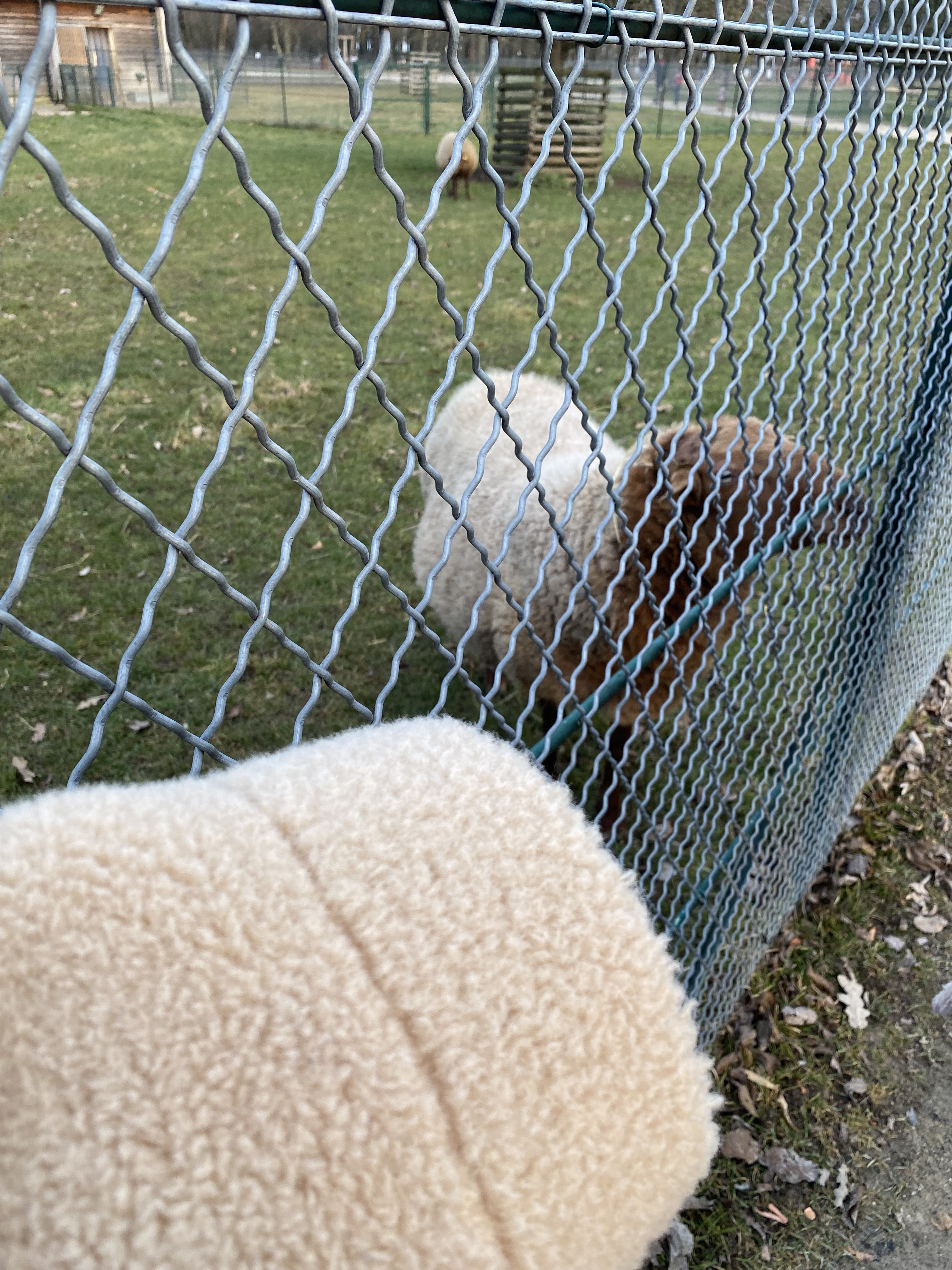 Photo n° 3 de l'avis de Kang.s fait le 25/01/2022 à 21:54