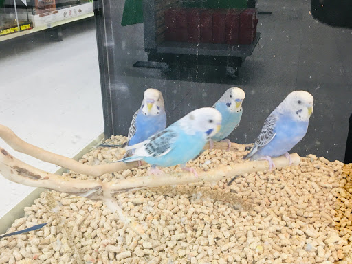 Pet Supply Store «PetSmart», reviews and photos, 104 Andover St, Danvers, MA 01923, USA