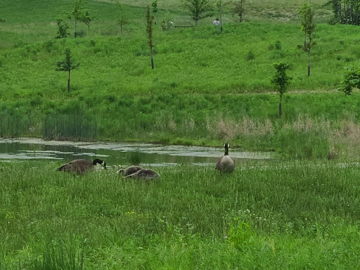 Park «Summit Park», reviews and photos, 4335 Glendale Milford Rd, Blue Ash, OH 45242, USA