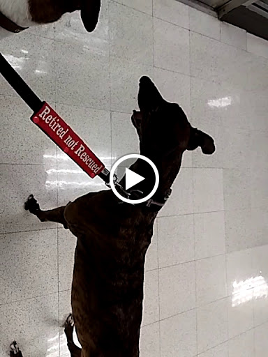 Casino «bestbet Orange Park», reviews and photos, 455 Park Ave, Orange Park, FL 32073, USA