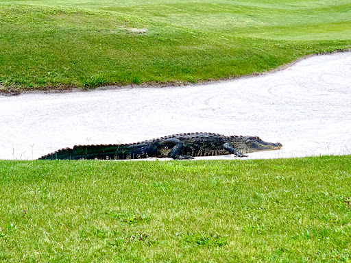 Golf Course «Harmony Golf Preserve», reviews and photos, 7252 5 Oaks Dr, St Cloud, FL 34773, USA