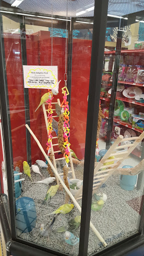 Pet Supply Store «Petco Animal Supplies», reviews and photos, 9 W Avon Rd, Avon, CT 06001, USA