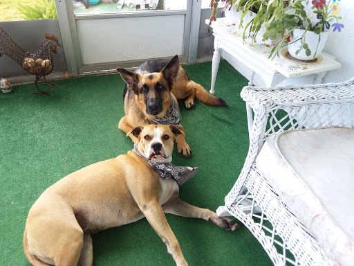 Sandwich Shop «Panera Bread», reviews and photos, 1760 US Hwy 27 S, Sebring, FL 33870, USA