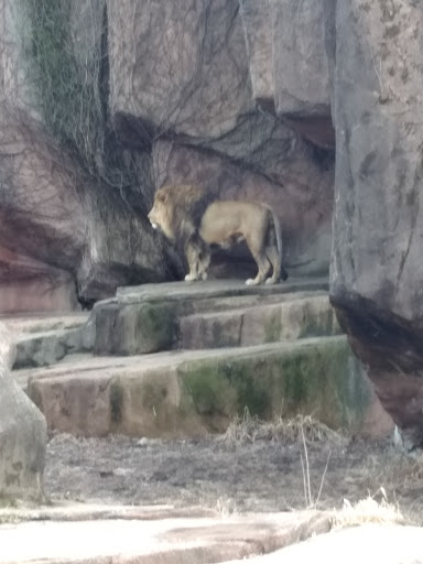 Zoo «Farm In The Zoo», reviews and photos, 1911 N Stockton Dr, Chicago, IL 60614, USA