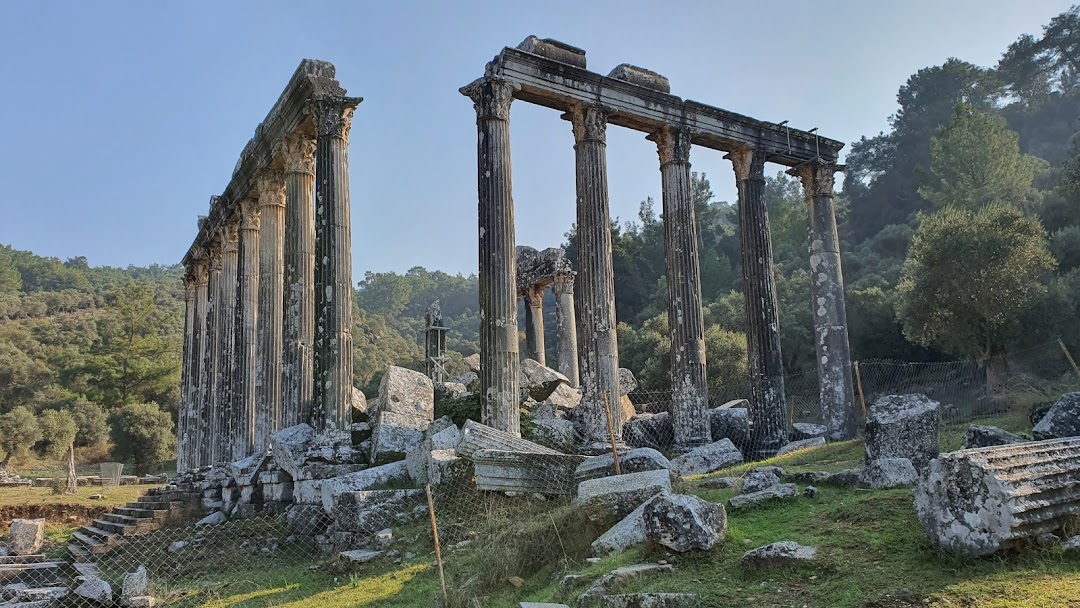 The Temple of Zeus Lepsinos, Euromus