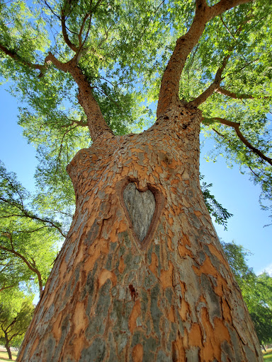 Park «Cielito Park», reviews and photos, 3402 W Campbell Ave, Phoenix, AZ 85017, USA