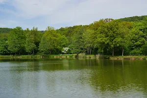 Unterer Seewaldsee image