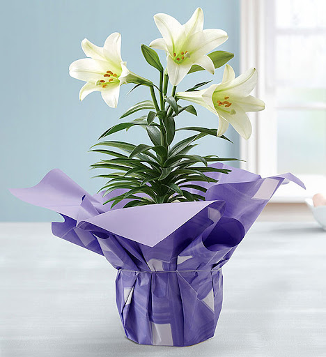 Florist «Floral Concepts», reviews and photos, 11261 Richmond Ave G109, Houston, TX 77082, USA