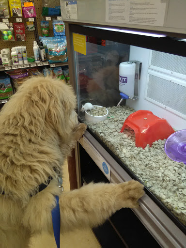 Pet Supply Store «Petco Animal Supplies», reviews and photos, 1150 Concord Ave #160, Concord, CA 94520, USA