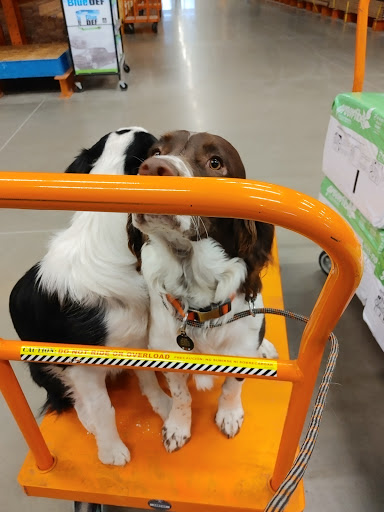 Home Improvement Store «The Home Depot», reviews and photos, 1801 E Custer Ave, Helena, MT 59602, USA