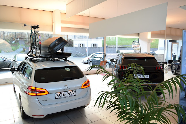 Rezensionen über Gross Garage Baden AG - Peugeot in Wettingen - Autowerkstatt