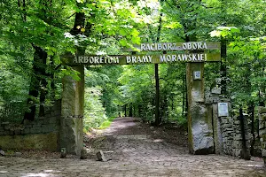 Moravian Gate Arboretum image