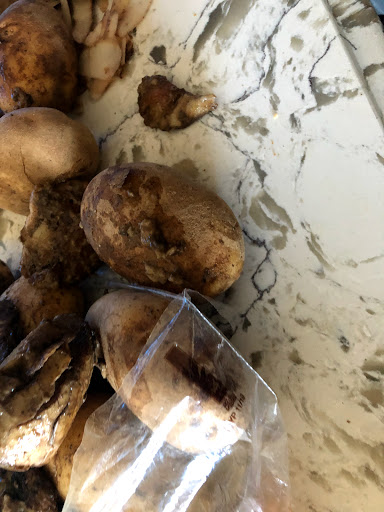 Grocery Store «Valentino Food Market», reviews and photos, 66-64 Fresh Pond Rd, Ridgewood, NY 11385, USA