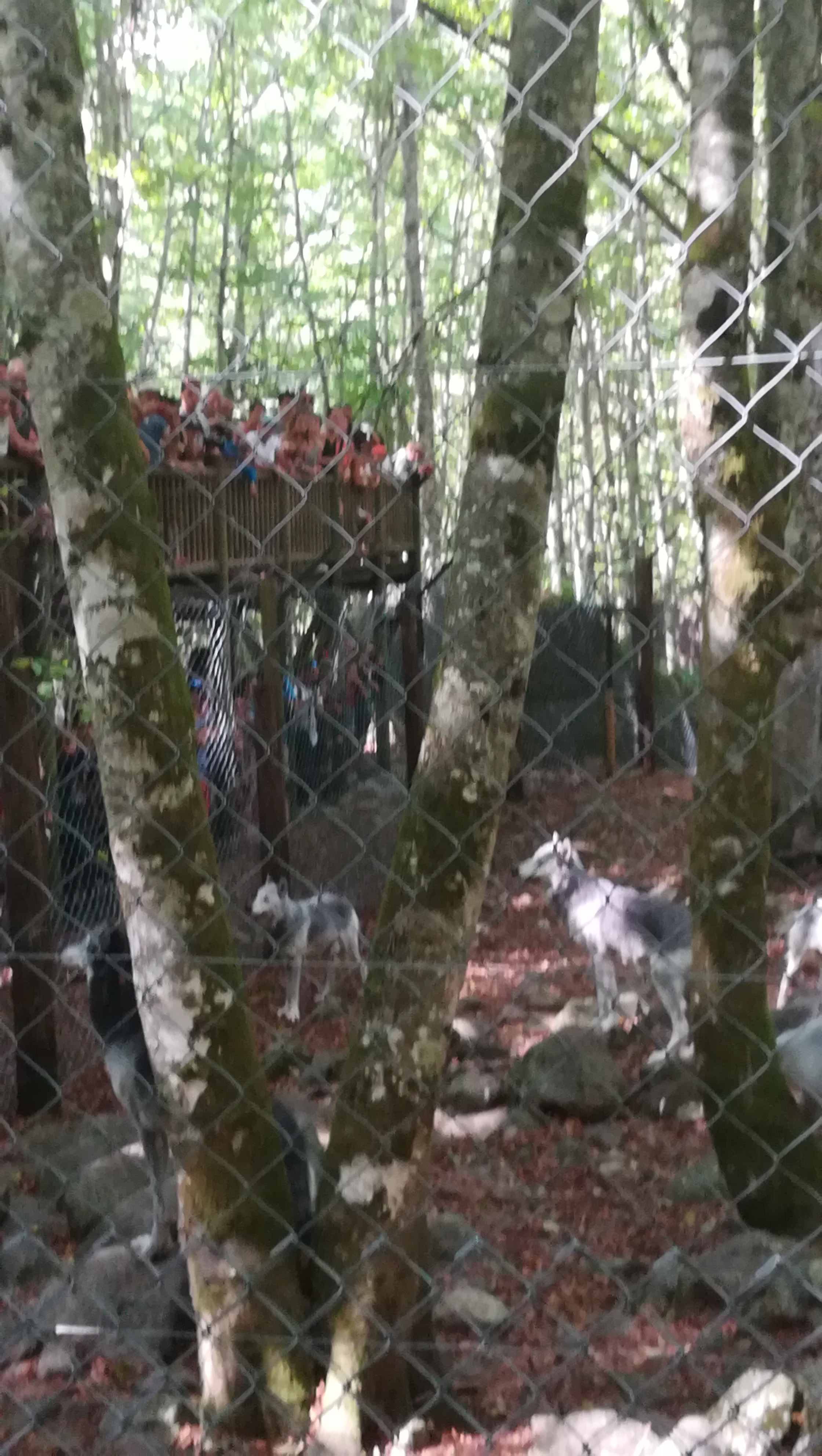 Photo n° 8 de l'avis de Melanie.a fait le 23/08/2018 à 08:47